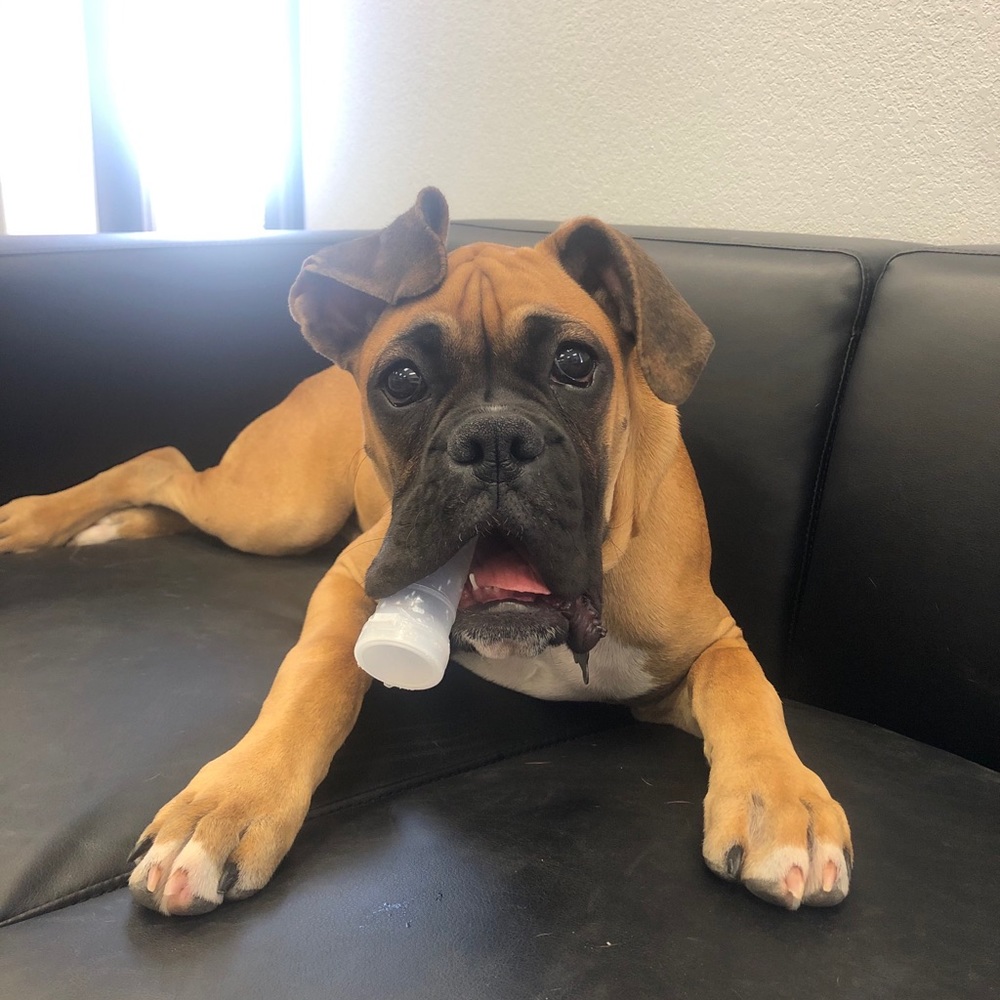 Meet your Posher, Cam